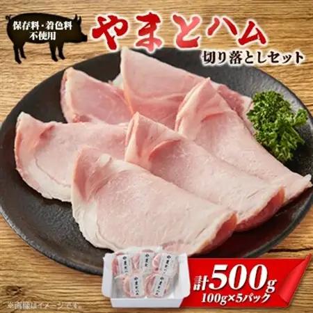 ゴールド・シー食品やまとハム切り落としセット(100g×5パック)_肉 ハム 豚肉 _【配送不可地域：離島】【1284833】