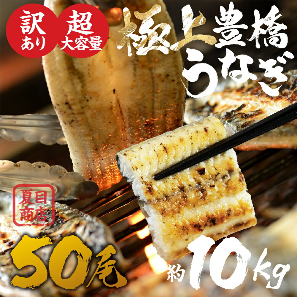 【ふるさと納税】 極上 豊橋うなぎ 白焼 50尾 約10kg 厳選 国産 鰻 簡易包装 訳あり ウナギ うなぎ 鰻 白焼き 夏目商店 ギフト 配布 最高級 ひつまぶし 土用丑の日 ギフト 冷凍 増量 丑の日 簡単調理 豊橋うなぎ unagi お取り寄せ 送料無料 愛知県 豊橋市