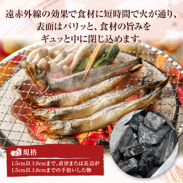 うなま 備長炭 (2級並) 3kg [宮崎県農業協同組合 八菜館ひゅうが店 宮崎県 美郷町 31ap0012] BBQ 七輪 焼肉 高火力 遠赤外線 長時間 燃焼 煙少 消臭 白炭 キャンプ バーベキュー 宮崎県 産 送料無料