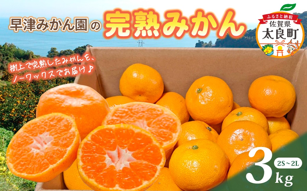 
            L-101　早津みかん園の完熟みかん ３kg みかん ミカン 蜜柑 たらみかん 太良みかん 温州みかん 完熟みかん 甘熟 柑橘 国産 佐賀県産 太良町 こだわり 有機栽培 産地直送 贈答品 詰め合わせ 極甘
          