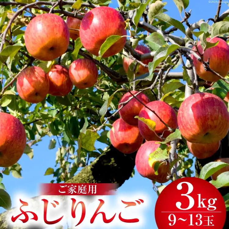 【2026年発送】 【 数量限定 】 りんご ふじ 約3kg (9～13玉)