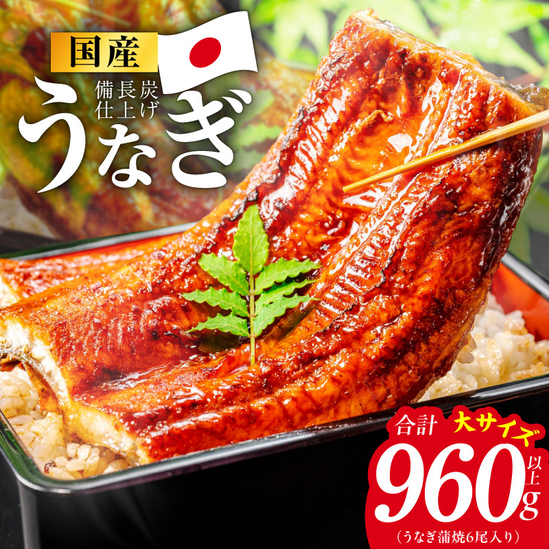 【特別規格】国産うなぎ蒲焼 960g以上（大サイズ6尾）【レンチン 湯煎対応 簡単調理 鰻 ウナギ 人気総菜 日本産 土用の丑の日にも】 G4240