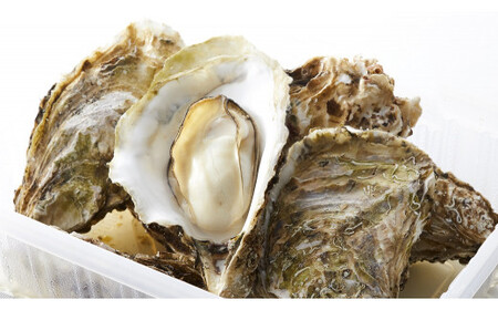 レンジで簡単調理！ 蒸し牡蠣15個セット〈殻付き牡蠣 Sサイズ10個 Mサイズ5個〉