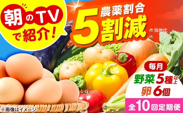 
            【全10回定期便】 米ぬかで育てた！旬のお野菜＆平飼い卵セット 詰合せ 詰め合わせ 新鮮 産地直送 おまかせ やさい 野菜セット 大阪府高槻市/ベジ彩ファーム [AOEJ007] 朝のTVで紹介 旬の野菜セット 新鮮野菜 産地直送 卵 たまご 平飼い卵 やさいセット 家庭用 食材セット サラダ料理 煮物 炒め物 健康志向 ギフト 贈答用 お取り寄せグルメ 栽培 栄養満点 食卓彩り 家庭料理 人気
          