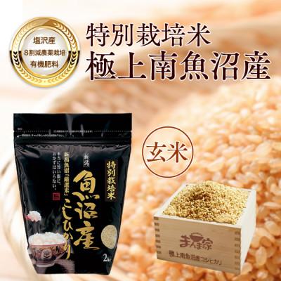 ふるさと納税 南魚沼市 【7年産新米予約】特別栽培米「南魚沼産コシヒカリ」(栽培期間中農薬節減・化学肥料不使用)玄米8kg