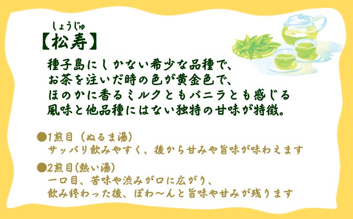 種子島 射場貴大 茶園 「松寿」 「極上」 オリジナル 茶 セット　NFN570【250pt】