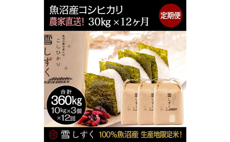 【令和7年産】定期便！魚沼産コシヒカリ【合計360kg】毎月30kg×12回 お米 ブランド米 銘柄米 精米 白米 ご飯 おにぎり お弁当 和食 産地直送 