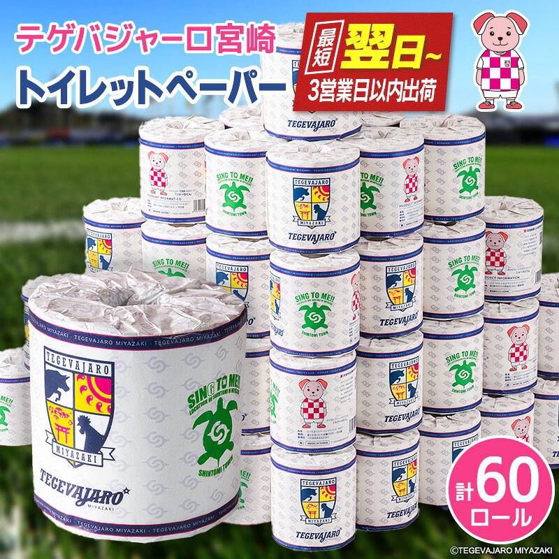 【ふるさと納税】＜最短翌日～3営業日以内出荷＞テゲバジャーロ宮崎×新富町 コラボ トイレットペーパー（ソフトロング）計60ロール 芯あり シングル 長持ち 日用品 スピード便