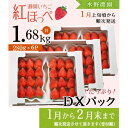 【ふるさと納税】いちご イチゴ 苺 【1～2月発送】 掛川産完熟いちご「ミズノ農園の紅ほっぺ 」280g×6パック （計1680g） ※1月～2月末にかけて順次発送（ 紅ほっぺ 人気 くだもの フルーツ ストロベリー 掛川市 静岡 いちご ）