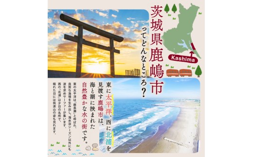 ミント キューバミント 先行予約 苗 苗木 園芸 ガーデニング ミントの苗 日用品 雑貨 趣味 4号ポット 1鉢 モヒート ハーブティー デザート アクセント モヒート 香り 育てる 栽培 趣味 植物