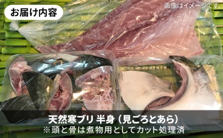 【1/16～3月末お届け】天然 寒ブリ（一本丸ものサイズ8キロ台 半身ブロック）《壱岐市》【壱岐島 玄海屋】 [JBS098] 70000 70000円 7万円 コダワリブリ・ぶり こだわりブリ・ぶり