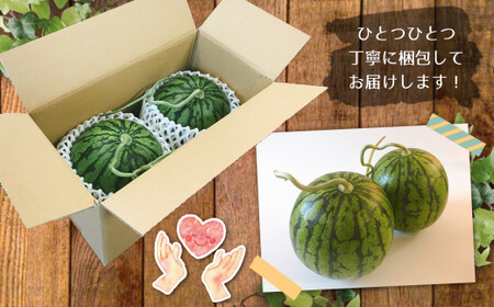 【4月～6月発送】 スイカ 王国 熊本 ！ 小玉 すいか 2玉 熊本県産 果物  西瓜 フルーツ | 果物 くだもの フルーツ スイカ 小玉 スイカ 熊本 玉名