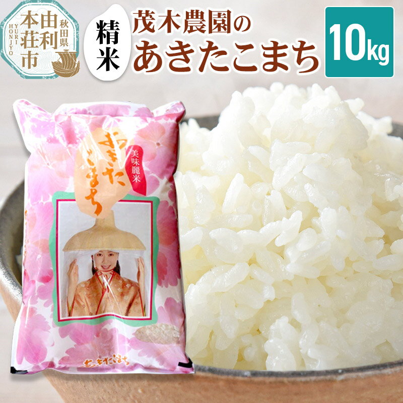 【ふるさと納税】《令和7年産》【精米】あきたこまち 10kg 秋田県産 茂木農園のあきたこまち ブランド米 銘柄米 米どころ