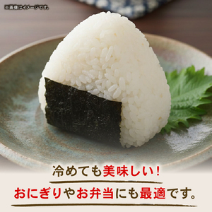 【12回定期便】令和7年度 南国市産 コシヒカリ 白米 5㎏