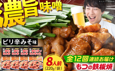 【12回定期便】「元祖みたけとんちゃん」ピリ辛みそ味（8人前）[AVAA029]ホルモン おつまみ