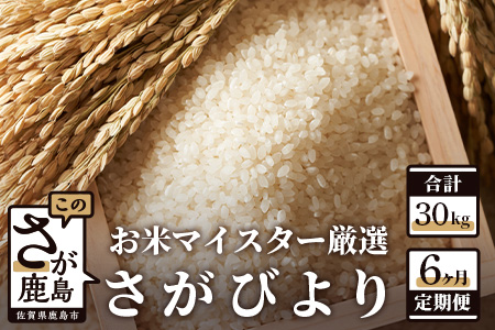 11月発送開始 新米 定期便 6ヶ月 佐賀県産 さがびより 白米 5kg《6ヶ月連続 毎月お届け》F-28 6回 令和7年産