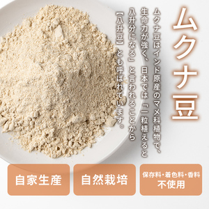 【A84001】ムクナ豆パウダー(計200g・100g×2袋) 鹿児島 国産 ムクナ豆 八升豆 粉末 自然栽培 健康食品 豆 パウダー 栄養 アミノ酸【百姓暮らし サブレガミストアー】