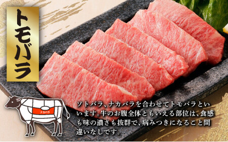 希少な特選石垣牛をご家庭で！！カルビ（ナカバラ/トモバラ/三角バラ）焼肉用200g×2パック & 石垣牛 MARU秘伝の焼肉タレ100ml×1本 | 沖縄 石垣 特選 牛 カルビ ナカバラ トモバラ 