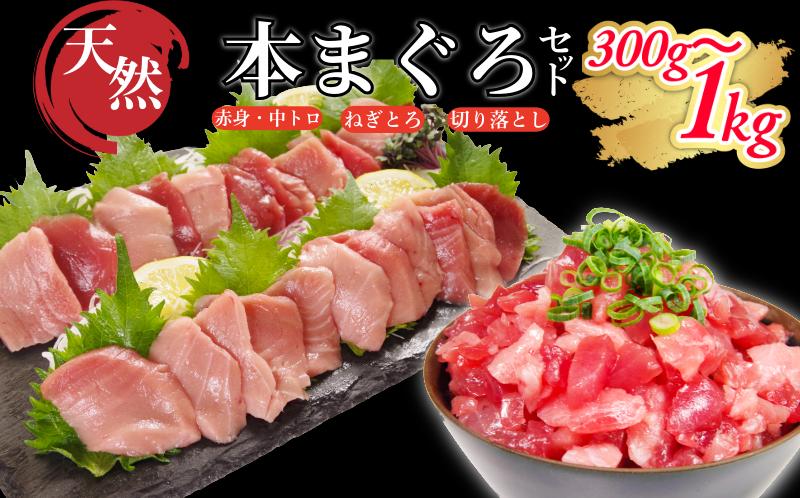 
                  天然本まぐろ ねぎとろ・切り落としセット 300g～1kg マグロ 本まぐろ 中とろ ネギトロ 赤身 天然 鮪 小分け 冷凍 刺身 漬け 晩酌 寿司 ユッケ マグロ丼 ねぎとろ 海鮮
                