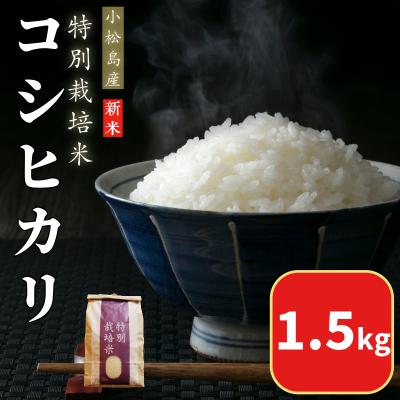 ふるさと納税 小松島市 【2025年9月順次発送】 令和7年産 新米 白米 コシヒカリ 1.5kg 特別栽培米