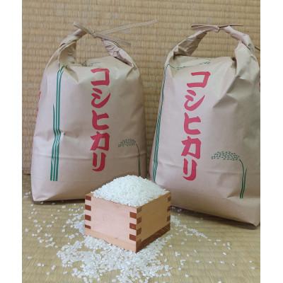 ふるさと納税 幸手市 令和7年幸手産こしひかり(無洗米)[4.5kg×2袋]