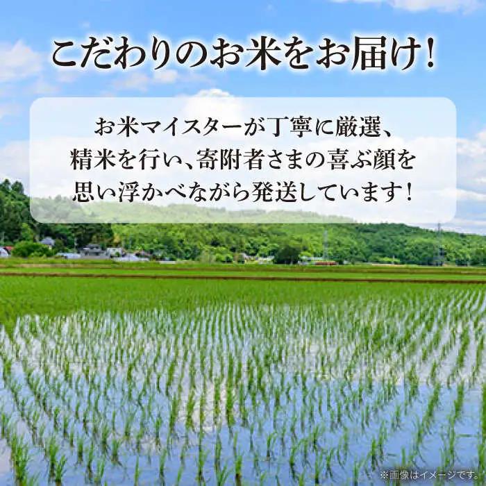 ヒノヒカリ 10kg×12回 定期便 / ひのひかり 米 お米 こめ コメ 精米 / 南島原市 / 林田米穀店 [SCO007]