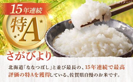 【3回定期便】さがびより 白米 5kg /江口農園[UBF025] 米 定期