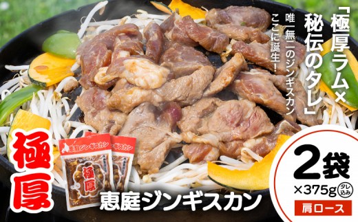 
                  恵庭ジンギスカン（NZラム肩ロース使用）×2袋 | ジンギスカン 焼肉 ラム ラム肉 肩ロース 恵庭ジンギスカン 羊肉 バーベキュー BBQ 特産品 ご当地グルメ ご飯のお供 冷凍肉 お取り寄せ 北海道 恵庭市 恵庭【19010202】
                