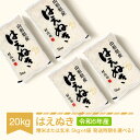 【ふるさと納税】 新米 米 20kg 5kg×4 はえぬき 精米 玄米 令和6年産 2024年産 山形県産 送料無料※沖縄・離島への配送不可