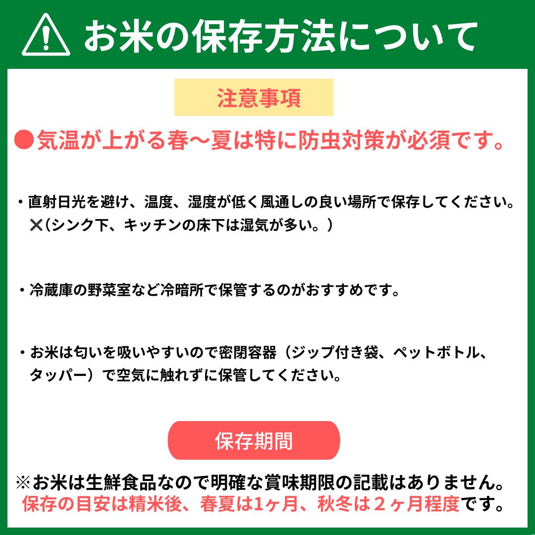 【令和7年産】丹波篠山産　コシヒカリ　10kg（5kg×2袋）