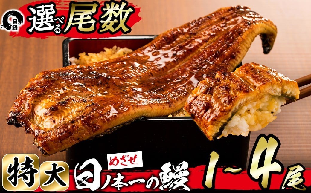 
            【家計応援】＜肝串3本付き！＞【尾数が選べる！】うなぎ生産量日本一の鹿児島県産！日ノ本一の鰻の蒲焼き＜特大＞1尾～4尾！うなぎ 鰻 ウナギ 1尾 2尾 3尾 4尾 蒲焼き かばやき 冷凍 うな重 ひつまぶし タレ 山椒
          