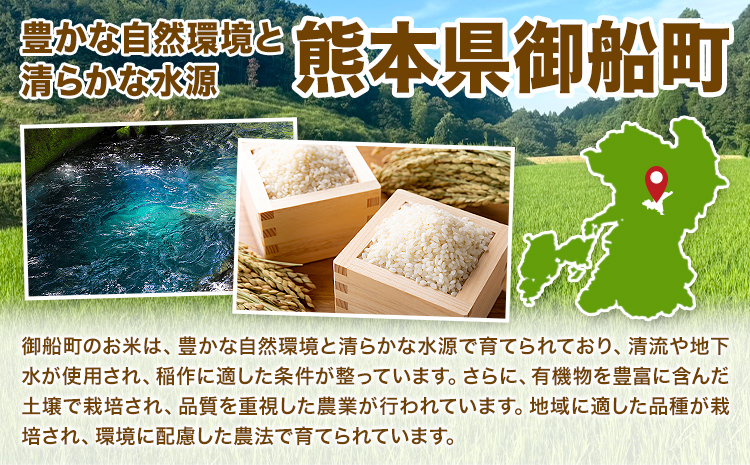 白米 10kg さこんたろう《90日以内に発送予定(土日祝除く)》熊本県 御船町 コメ おこめ 白米 ごはん 熊本県産---mifune_skt_3_10kg---