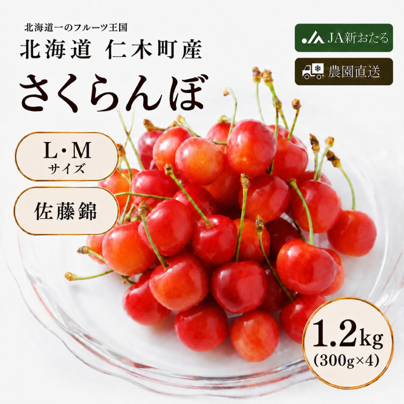 2027年発送 北海道 仁木町産 さくらんぼ 佐藤錦 1.2kg（300g×4パック） 美味しい 人気 おすすめ お裾分け サクランボ チェリー フルーツ 果物 果物類  仁木町 仁木 [JA新おたる]