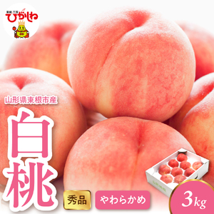 2025年産 白桃（柔らかめ） 3kg 秀品 山形県 東根市 hi082-007-1 山形県 ヤマガタケン やまがたけん 東根市 ヒガシネシ ひがしねし フルーツ 果物 くだもの クダモノ もも 桃 白桃 ピーチ 品種お任せ 柔らかめ 2025年産 令和7年 先行予約 人気 ふるさと納税