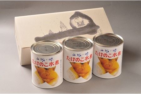 京都産 たけのこ 水煮 缶詰 1.5kg(500g×3缶)  白子筍 京たけのこ たけのこ たけのこ【009】