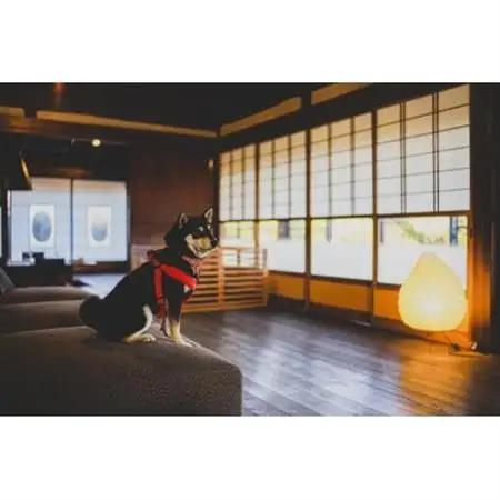 古民家宿るうふ　ご宿泊ギフト券(10万円分)【1428451】