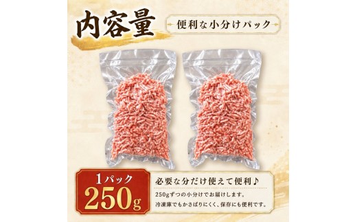 信州SPF豚　ひき肉 【750g (250g×3袋)】| SPF豚 豚 豚肉 ポーク お肉 ひき肉 挽肉 肉 信州 南信州 送料無料 ふるさと納税 長野県 飯田市