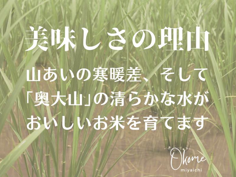 【令和7年産】コシヒカリ 2kg 特別栽培米 鳥取県江府町産 こしひかり 精米 産地直送 お試し 2ｷﾛ 0930