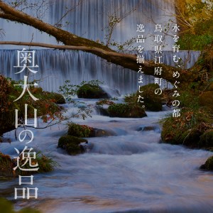 しいたけ醤油奥大山 1L / だし醤油 奥大山 道の駅 5000円 0576