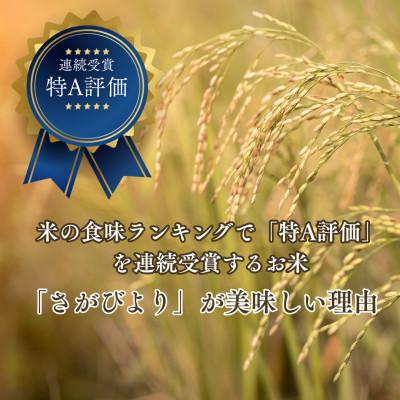 ふるさと納税 吉野ヶ里町 【先行予約】(新米)令和8年産 さがびより (白米) 5kg (吉野ヶ里町) |  | 01