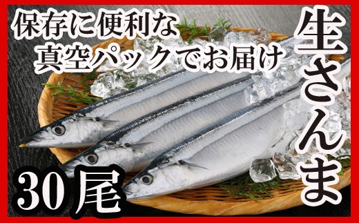 B-30005 【北海道根室産】さんま30尾