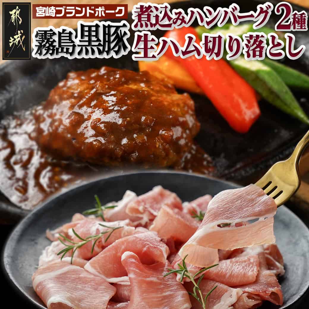 【ふるさと納税】霧島黒豚煮込みハンバーグ2種＆生ハム切り落としセット - ハンバーグ6個 霧島黒豚 煮込みハンバーグデミグラスソース仕立て 煮込みハンバーグ和風おろしソース仕立て 生ハム切り落とし 送料無料 AA-2811 【宮崎県都城市は2年連続ふるさと納税日本一！】