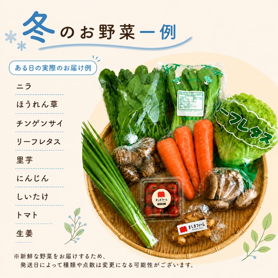 【年6回】高知から産直！旬の季節のお野菜定期便（7～9品）
