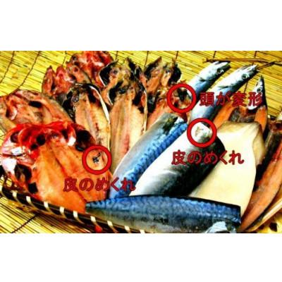 ふるさと納税 南房総市 訳あり干物セット約1kg(8尾以上、金目入り)　mi0012-0117 |  | 01