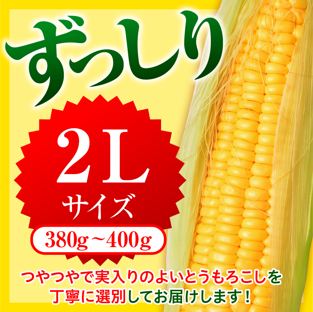 【先行受付】【2026年8月上旬～8月下旬頃配送】北海道十勝芽室町 とうもろこし ゴールドラッシュ 2Lサイズ 20本セット me078-010c-26