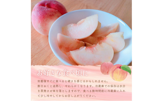 【2025年7月より順次発送】美味しい山梨の桃　2kg・6～8玉【022-003】