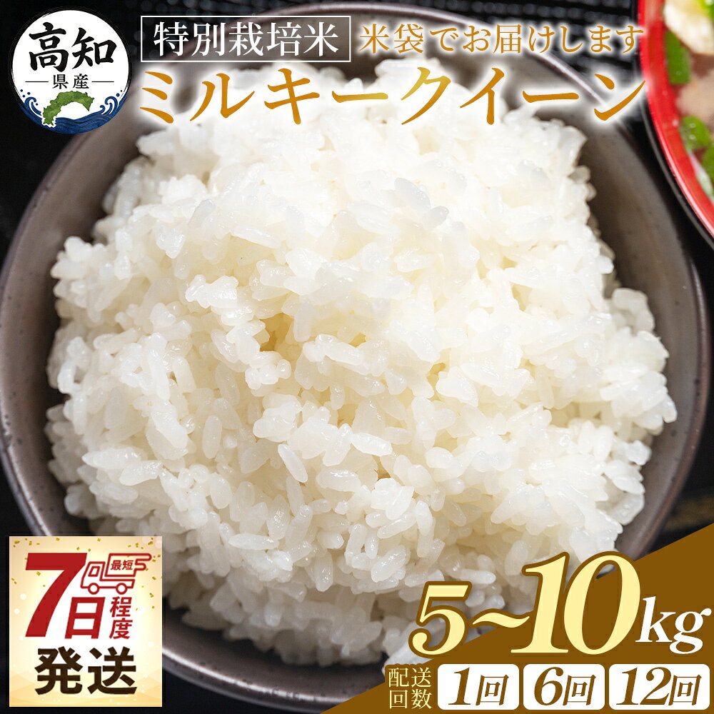 【ふるさと納税】先行予約受付【順次発送】新米 令和8年産 特別栽培米 ミルキークイーン 5kg/10kg 1回/6回/12回 高知県香南市産 - 選べる 内容量 定期便 お米 米 白ご飯 ごはん 精米 お弁当 おにぎり おむすび 炊き込みご飯 美味しい 防災 非常食 高知県 香南市【常温】