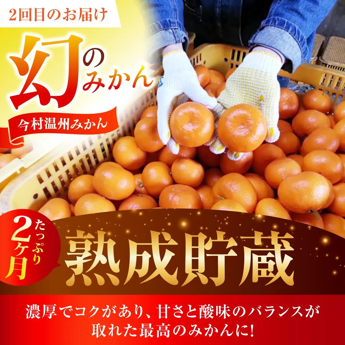 食べくらべ定期（太陽のしずく・今村温州みかん）[HCE003] みかん 果物 FN-Limited-SP