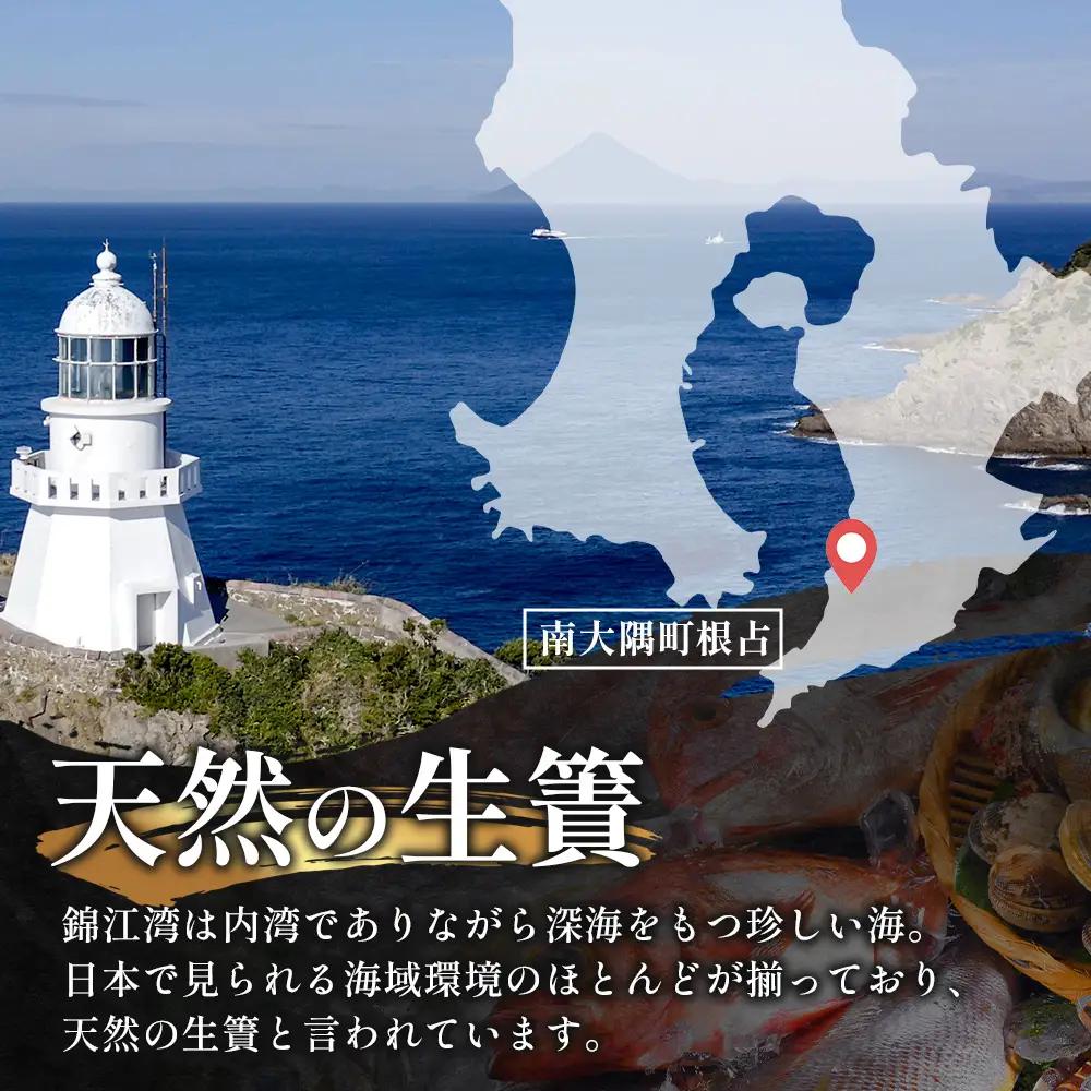 鹿児島県産 アマダイ 干物 (中サイズ1枚入り) ≪合計1枚≫［25センチ前後］PT-6 | 開き 大隅干し 冷凍 国産 鯛 甘鯛 ひもの 海鮮 新鮮 瞬間冷凍 産地直送 加工品 朝ご飯 おかず グル