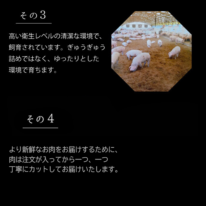 赤村養生館 豚肉ロースしゃぶしゃぶ用 700g B8